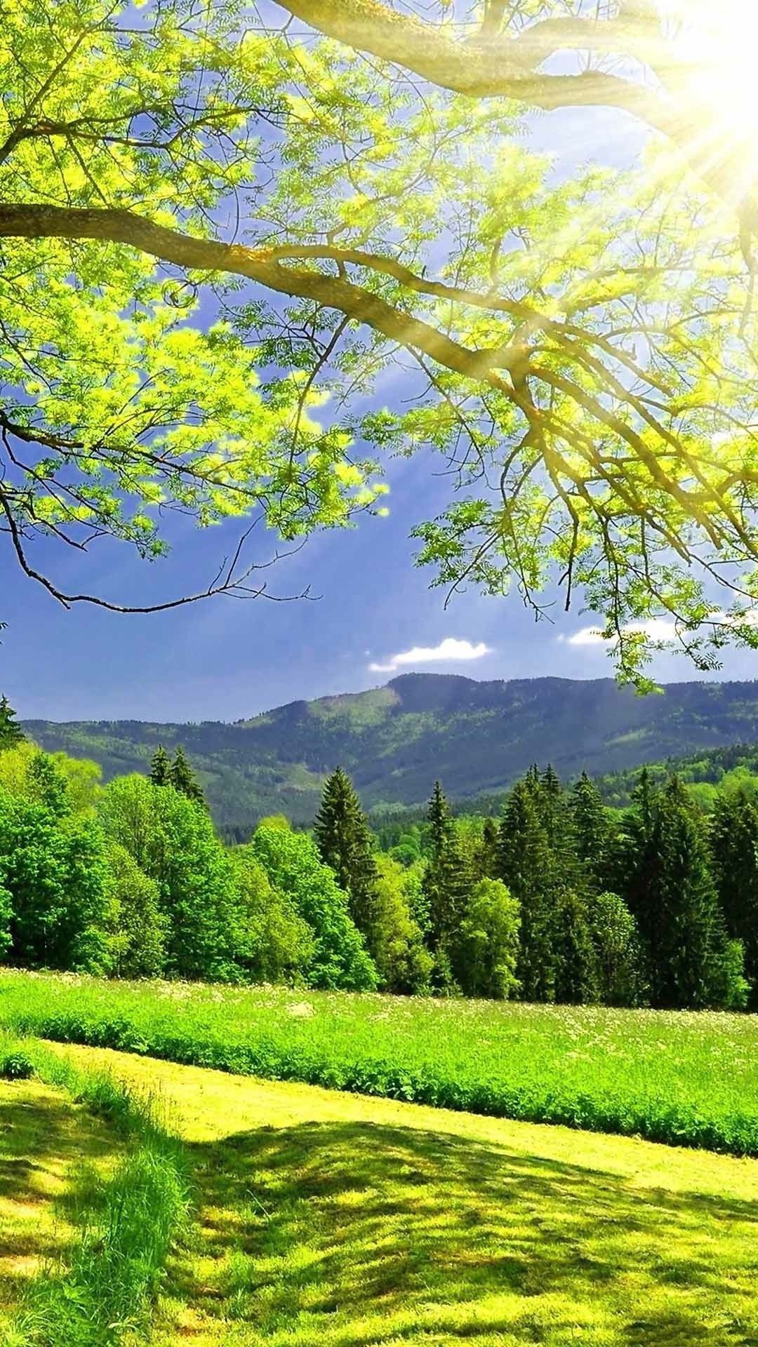 Top 30 hình nền điện thoại về thiên nhiên phong cảnh tuyệt đẹp  TRẦN HƯNG  ĐẠO